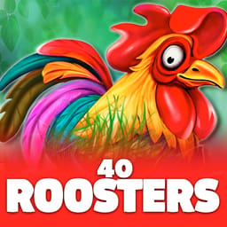 40 Roosters image