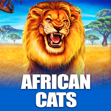 African Cats image