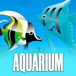 Aquarium HD image