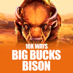 Big Bucks Bison 10K Ways image