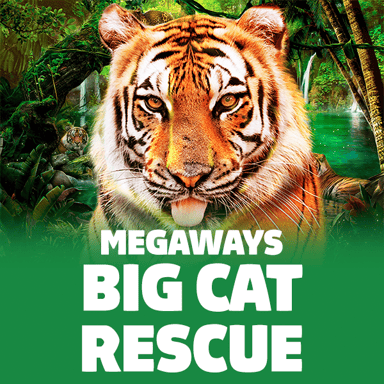 Big Cat Rescue MegaWays image