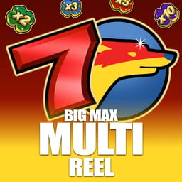 Big Max Multi Reel image