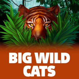 Big Wild Cats image