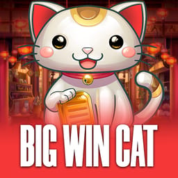 Big Win Cat image