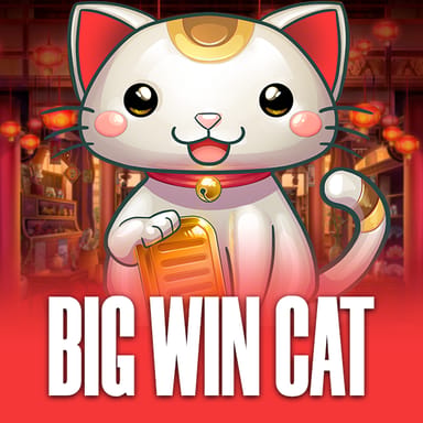 Big Win Cat image