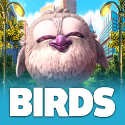 Birds image