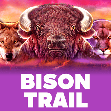 Bison Trail image