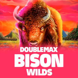 Bison Wilds Doublemax image