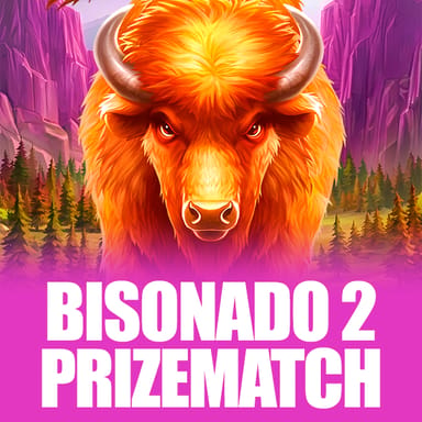 Bisonado 2 PrizeMatch image