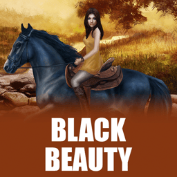 Black Beauty image