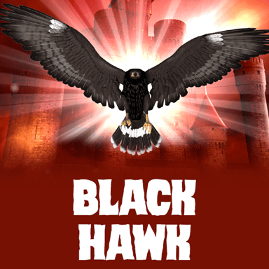 Black Hawk image