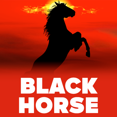 Black Horse image