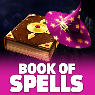 Book Of Spells image