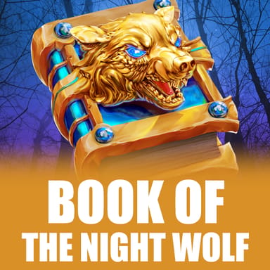 Book of The Night Wolf image