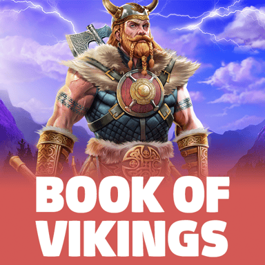 Book of Vikings image