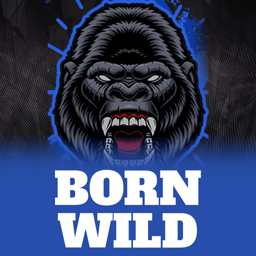 Born Wild image