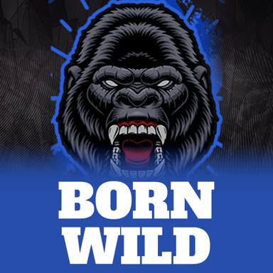 Born Wild image
