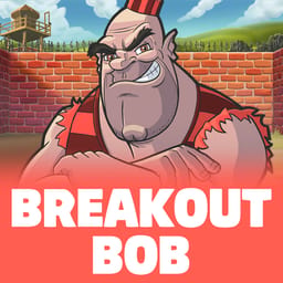 Breakout Bob image