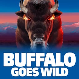 Buffalo Goes Wild image