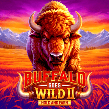 Buffalo Goes Wild II image