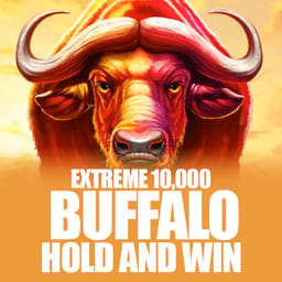 Buffalo Hold and Win Extreme 10,000 image