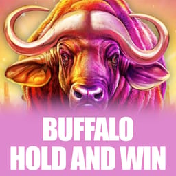 Buffalo Hold and Win image