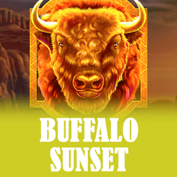 Buffalo Sunset image