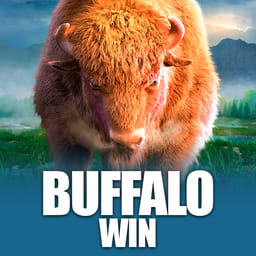 Buffalo Win image