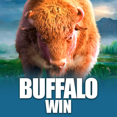 Buffalo Win image