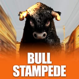 Bull Stampede image
