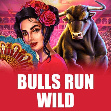Bulls Run Wild image