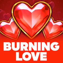 Burning Love image