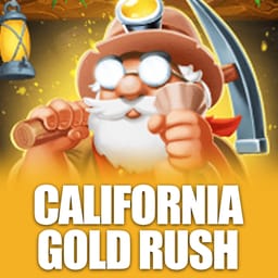 California Gold Rush image