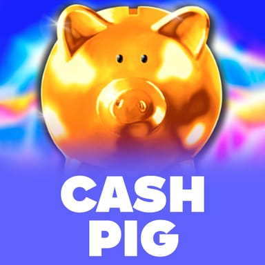 Cash Pig image