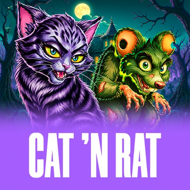 Cat 'n Rat image
