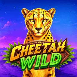 Cheetah Wild image