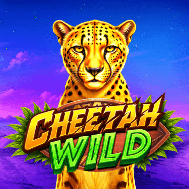 Cheetah Wild image
