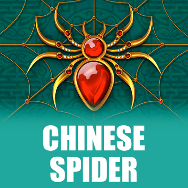 Chinese Spider image