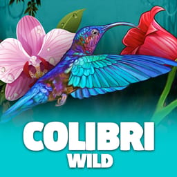 Colibri Wild image