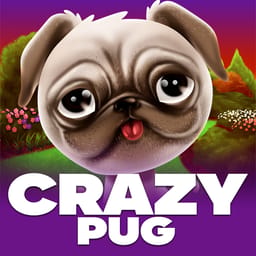 Crazy Pug image