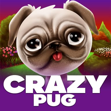 Crazy Pug image