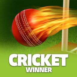Cricket Winner image