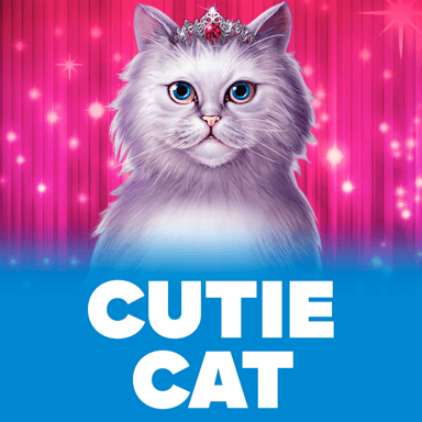 Cutie Cat image