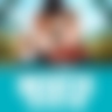 DogFighters - Their Finest Hour image