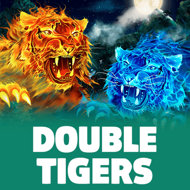 Double Tigers image