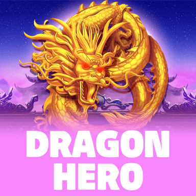 Dragon Hero image
