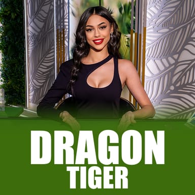 Dragon Tiger image