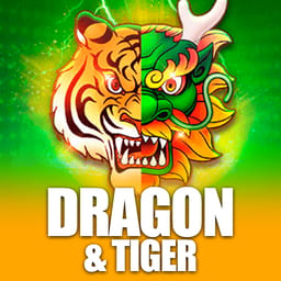 Dragon & Tiger image