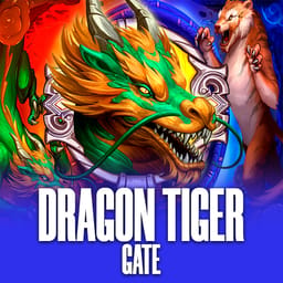 Dragon Tiger Gate image