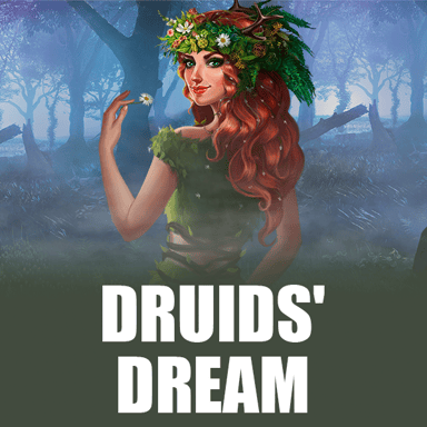 Druids' Dream image